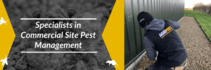 Agripest managment - Commercial pest control specialists