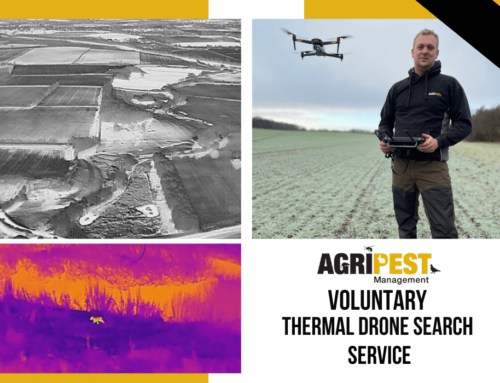 Thermal Drone Search Service