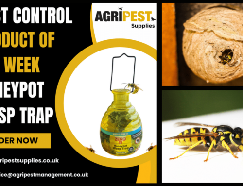Product of the Week – Honeypot Wasp Trap